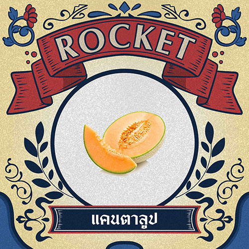 แคนตาลูป